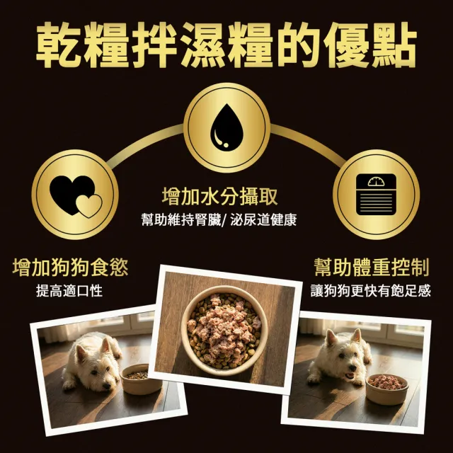 【Cesar 西莎】熟齡餐盒 高齡犬 100g*24入 寵物/狗罐頭/狗食