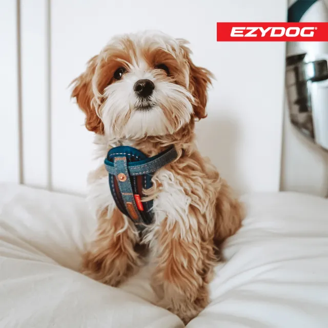 【EZYDOG】狗體工學胸背帶 丹寧 S號(送400元寵物車用束帶 寵物胸背帶 H型胸背帶 寵物用品 牽繩)