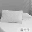 【Tonia Nicole 東妮寢飾】TopCool冰凍涼感枕頭保潔墊2入(十色任選)