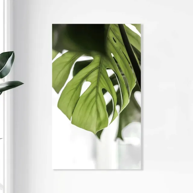 【Noname】植物一隅 植物畫 壁畫 板畫 背景畫 台灣工廠 掛畫 裝飾 畫(簡約 清新 文青 抽象畫 北歐畫)