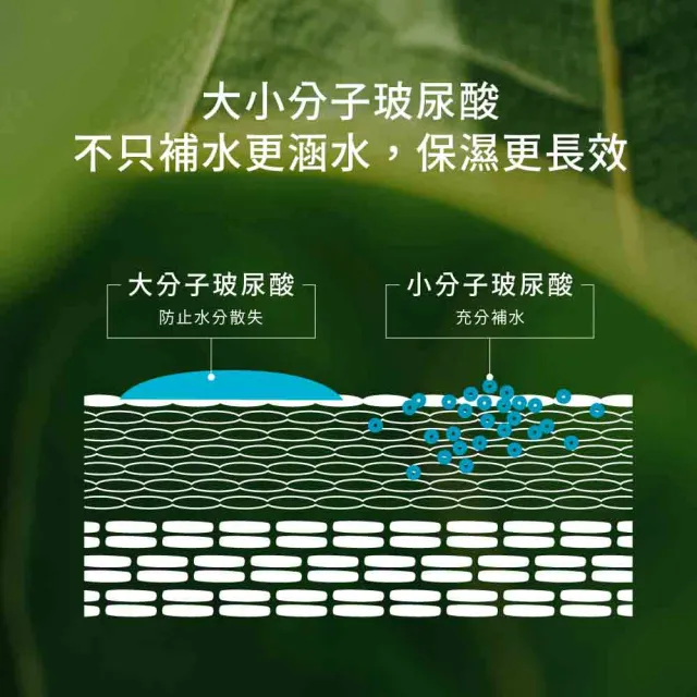 【greenvines 綠藤生機】純粹保濕柔嫩組(純粹保濕精華液30ml+活萃洗面乳100ml)