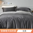 【MIT iLook】台灣製 萊賽爾天柔絲枕套2入(多款可選)
