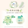 【Sofy 蘇菲】超熟睡棉柔28cm-42cm/草本抑菌28cm-35cm/天然衛生棉23cm-29cm(共40-148片)