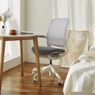 【SIDIZ】T25人體工學椅網背款(辦公椅電腦椅透氣網椅學習椅)