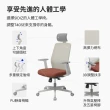 【SIDIZ】T40 SE 人體工學椅(辦公椅 電腦椅 透氣網椅)