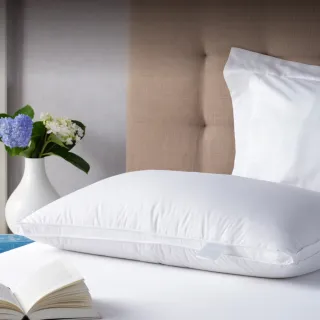 【WEDGWOOD】台灣製｜80%白鴨絨雅品三層立體抗菌羽絨枕(48x74cm)