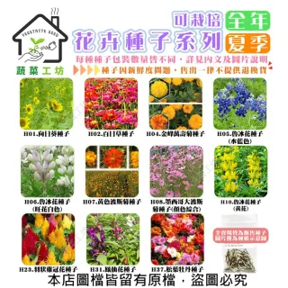 【蔬菜工坊】全年及夏季可栽培花卉種子系列-各包裝數量詳見內文(向日葵 百日草 萬壽菊 雞冠花 大理花)