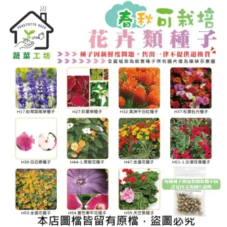 【蔬菜工坊】春秋可栽培花卉種子系列-各包裝數量詳見內文及圖片(蜀葵 雁來紅 鼠尾草 彩葉草 松葉牡丹)