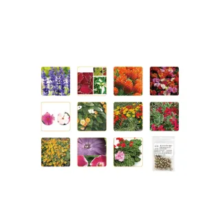 【蔬菜工坊】春秋可栽培花卉種子系列-各包裝數量詳見內文及圖片(蜀葵 雁來紅 鼠尾草 彩葉草 松葉牡丹)