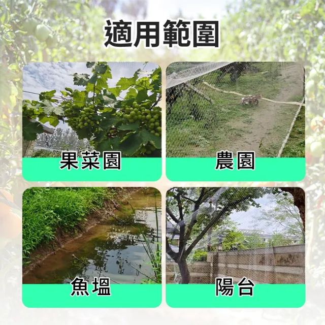 【工具職人】40米長 防鳥網 畫眉網 鳥網 果園防鳥網 果樹網 630-PB223MX40M(防鳥罩 果樹網 大棚防鳥網)