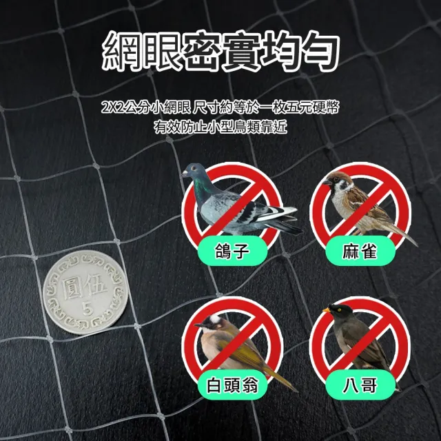 【工具職人】40米長 防鳥網 畫眉網 鳥網 果園防鳥網 果樹網 630-PB223MX40M(防鳥罩 果樹網 大棚防鳥網)
