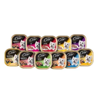 【Cesar 西莎】精緻/風味餐盒 100g*96入(寵物/狗罐頭/狗食)