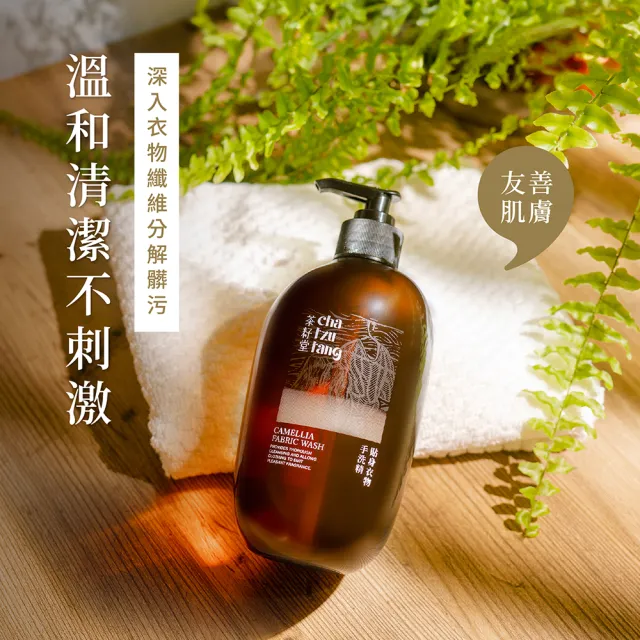 【茶籽堂】苦茶粕親膚手洗精500mL(貼身衣物/私密衣物/洗衣精)