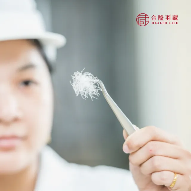 【HEALTH LIFE 合隆羽藏】CAS台灣原產75%白鴨絨被｜中保暖｜加大(羽絨被 棉被)