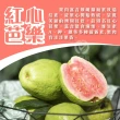 【初品果】產地直送雙色蜜芭樂禮盒5斤x4盒(黃金蜜+紅心芭樂/國民水果/產地直送/禮盒)
