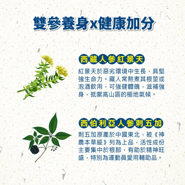 【順天本草】紅景天 氧沛 膠囊 含刺五加(60顆/盒)