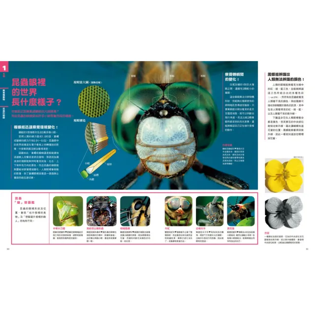 中小學生必讀科學常備用書（全套四冊）：NEW全彩圖解觀念生物、地球科學、化學、物理
