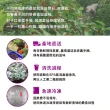 【老農手摘】桑葚濃縮果粒汁600gX4瓶