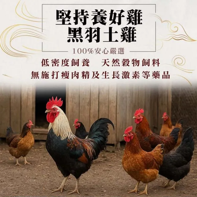【華寶生醫】常溫滴雞精60mlx10入禮盒(100%純濃精華 × 全家健康首選)
