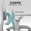 【C&D】專家級雙享人體工學椅(高彈力透氣網布&加贈海綿套柔軟坐墊)