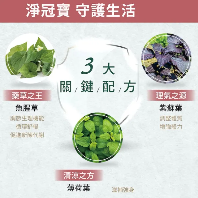 【SPOTLESS 植靠淨】淨冠寶膠囊2入組(共40粒/魚腥草配方/紫蘇葉/薄荷葉)