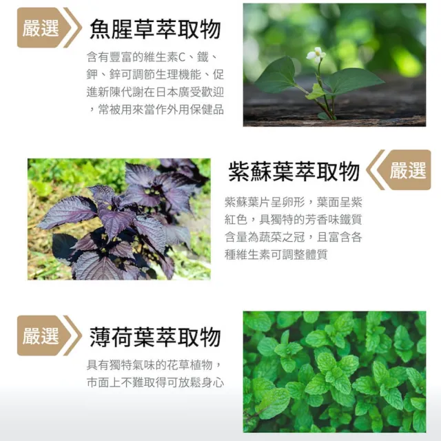 【SPOTLESS 植靠淨】淨冠寶膠囊1入組(共20粒/魚腥草配方/素食適用)