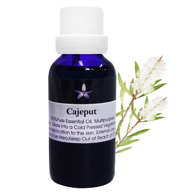 【BodyTemple 身體殿堂】薄荷/苦橙葉/白千層芳療精油30ml(三種精油30ml任選一瓶)
