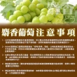 【WANG 蔬果】日本長野/山梨縣溫室麝香葡萄10串x1箱(350g/串_原裝箱)