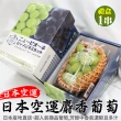 【WANG 蔬果】日本長野/山梨縣溫室麝香葡萄1房禮盒x1盒(350-400g/串)