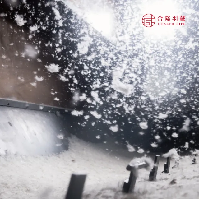 【HEALTH LIFE 合隆羽藏】momo獨家 CAS台灣原產75%白鴨絨被｜中保暖｜雙人(羽絨被/棉被)
