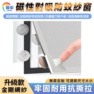 【匠藝家居】紗窗 隱形紗窗 自黏式防蚊紗窗網 魔鬼氈紗網 磁鐵窗戶簾(80*170CM 金剛網升級大吸力)