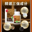 【葡萄王】認證樟芝王菌絲體膠囊X8瓶 共480粒(陳志強推薦 GABA 芝麻素 幫助入睡 牛樟芝 葡萄王官方)