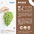 【RealShop】日本長野頂級麝香葡萄淨重350gx2房/禮盒(共700g±10%裝 真食材本舖 中秋送禮)