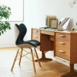 【Style】Chair SM + Chair PM 健康護脊座椅 兩入組(餐椅/工作椅/休閒椅)