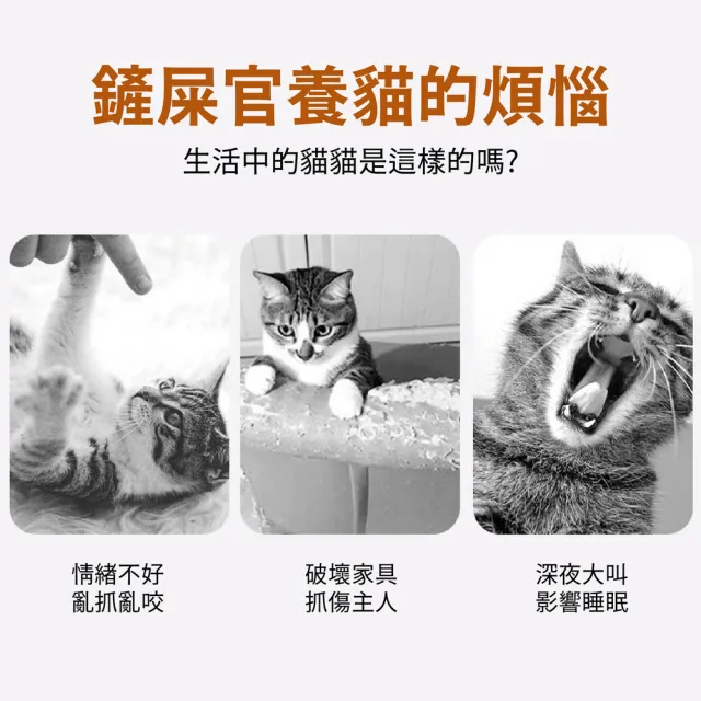 【kurumapop】原木紋綠屋貓爬架(貓抓板/貓咪跳台/逗貓球/貓太空艙/貓抓柱/貓窩貓屋)