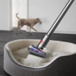 【dyson 戴森】V12s Detect Slim Submarine SV46 乾溼全能洗地吸塵器(雙主吸頭 全新升級版 洗地機)