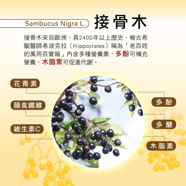 【順天本草】接骨木膠囊 60顆/盒x2(靈活關鍵 全素可用)