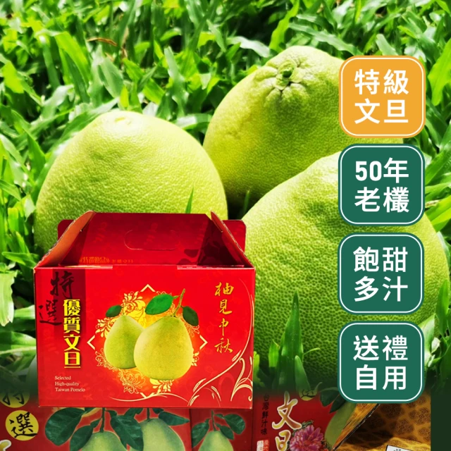 【台灣紅】鶴岡50年老欉特級文旦10斤x1盒(7-12顆/10斤/中秋禮盒_中秋柚子)