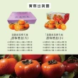 【初品果】摩天嶺達觀部落9A甜柿特大顆12顆禮盒x1箱(350g/顆 中秋禮盒_產地直送)