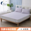 【ISHUR 伊舒爾】買1送1 乳膠冰絲涼蓆墊 贈同款枕頭套(單人 雙人 加大 均一價 涼感墊 野餐墊 速達)
