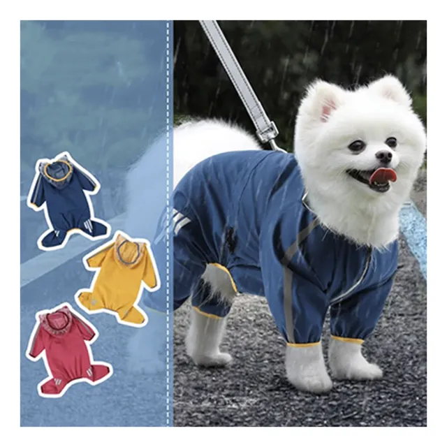 【2026】狗狗雨衣推薦ptt》10款高評價人氣品牌排行榜 | BALIMAN情報局