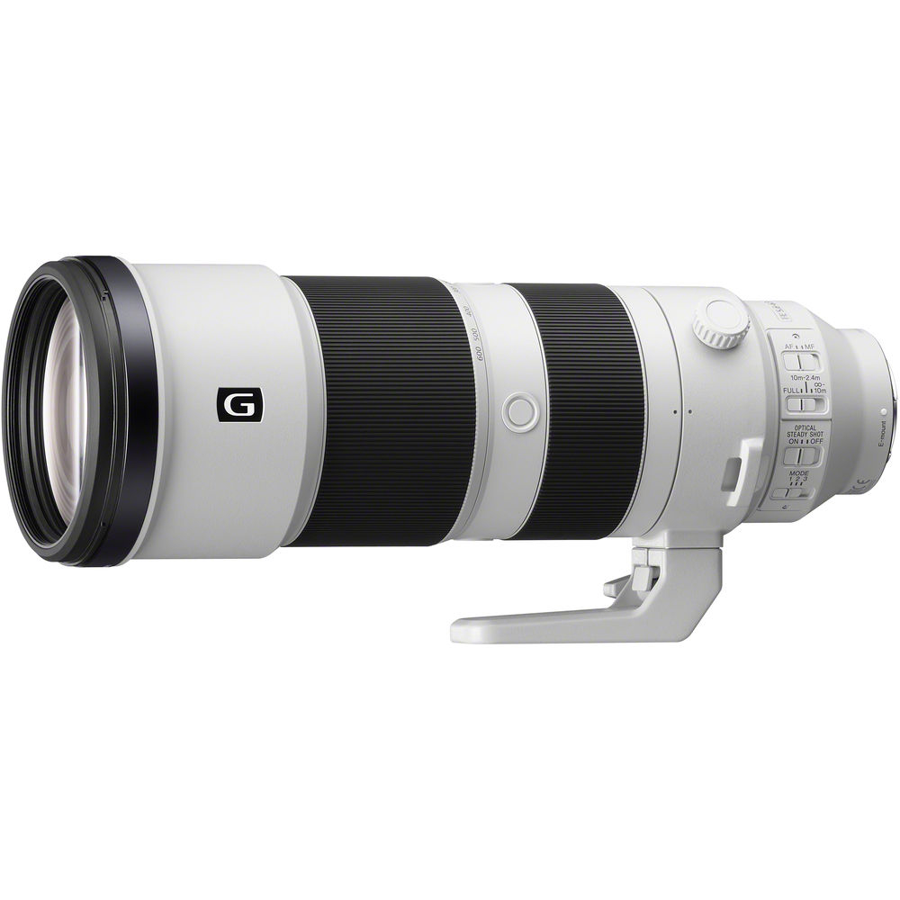 【SONY 索尼】FE 200-600mm F5.6-6.3 G OSS SEL200600G(公司貨 望遠變焦 全片幅無反微單眼鏡頭 飛羽攝影)
