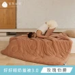 【青鳥家居】石墨烯恆溫好好睡奶蓋被3.0/2件組(棉被/冬被/抗菌/石墨烯)