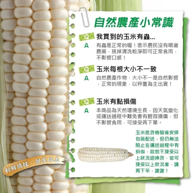 【WANG 蔬果】日本品種水果玉米5斤x1箱(農民直配)