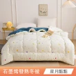 【日禾家居】買一送一 石墨烯保暖水洗被2.5KG 棉被 冬被(雙人180X210cm 多色選)