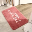【ANTIAN】2入組 雪尼爾加厚防滑吸水地墊40*60cm(高密度絨毛/浴室用/止滑升級)