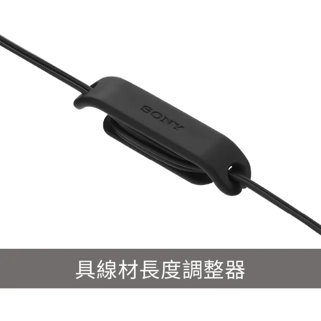 【SONY 索尼】Type-C 有線入耳式耳機 IER-EX15C(公司貨 保固12個月)