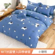 【AmoreCasa】買1送1 MIT抗菌銀離子柔適棉四季被套(雙人/多款任選/親膚舒適/四季好用)