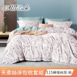 【MIT iLook】超值2入 台灣製優質萊賽爾天柔絲床包枕套組(雙人-多款花色可選)