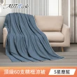【MIT iLook】獨家台灣製 專櫃60支100%萊賽爾天絲300織-涼被床包歐框枕套組(涼被/床包-單雙加/多色選/涼夏)